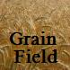 Synth Programs Grain Field