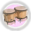Splurgo Audio Bongo Loops