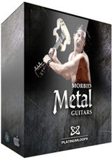 Platinum Loops Morbid Metal Guitars