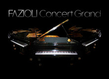Imperfect Samples Fazioli Ebony Concert Grand