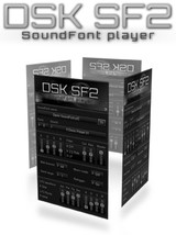 DSK Music SF2