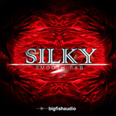 Big Fish Audio Silky Smooth R&B