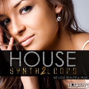 Roqstar Entertainment House Synth Loops Vol 2