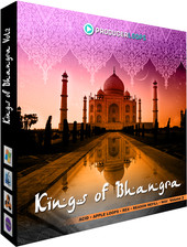 Producer Loops Kings of Bhangra Vol 2