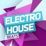 Sounds To Sample Electro House Beats