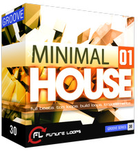 Future Loops Minimal House 01