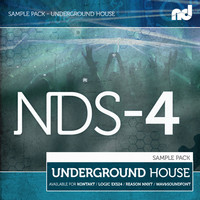 NDS-4 Underground House