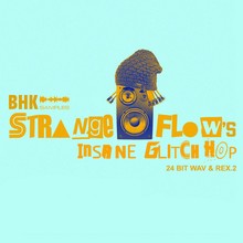 BHK Samples StrangeFlow Insane Glitch Hop