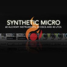 DNR Collaborative Synthetic Micro