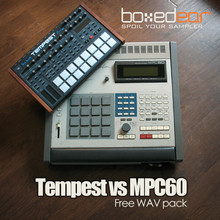 Boxed Ear Tempest vs MPC60