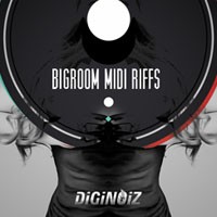 Diginoiz BigRoom MIDI Riffs