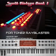 DSM Synth Vintage Bank 1 for RayBlaster