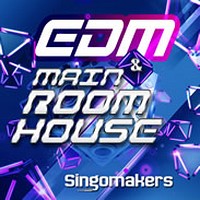 Singomakers EDM & Main Room House