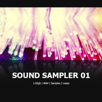 DNR Sound Sampler 01
