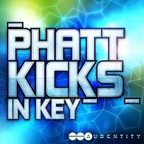 Audentity Phatt Kicks In Key