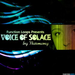 Function Loops Voice Of Solace