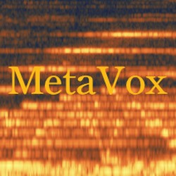Patchpool MetaVox