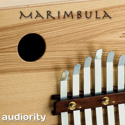 Audiority Marimbula