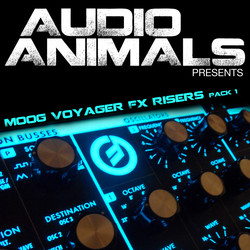 Audio Animals Moog Voyager FX and Risers