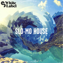 Sample Magic Slo-Mo House
