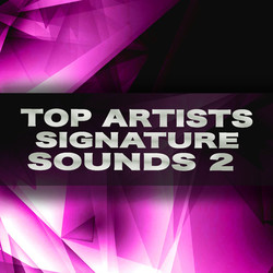 Top Artists' Signature Sounds Vol 2