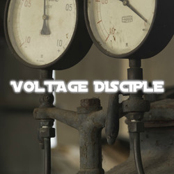 Voltage Disciple
