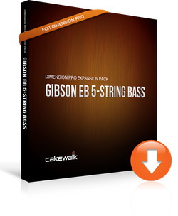 Gibson EB 5-String Bass for Dimension Pro