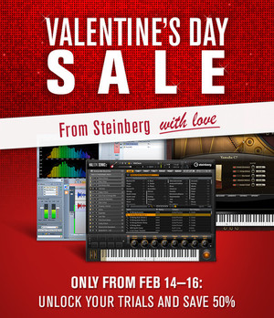 Steinberg Valentine's Day Sale