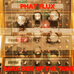 Dark Side of the Tune Phat Flux