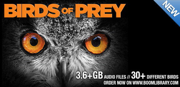 BOOM Library Birds of Prey
