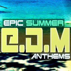 Function Loops Epic Summer EDM Anthems