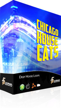 P5Audio Chicago House Cats