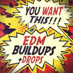 Function Loops EDM Buildups & Drops