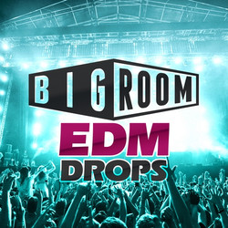 Mainroom Warehouse Big Room EDM Drops