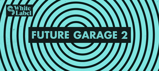 Sample Magic Future Garage 2