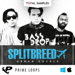 Prime Loops Splitbreed: Urban Vocals