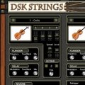 DSK Strings v1.0