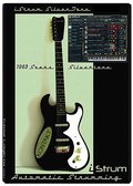 AudioWarrior 1963 SilverTone Electric Guitar and Electrik Lead Guitar