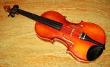 bioLogic Violin
