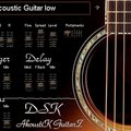 DSK AkoustiK GuitarZ