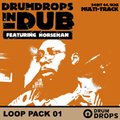 Loopmasters Drumdrops in Dub Volume 2 - Loop Pack 1