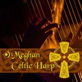 Precisionsound Meghan Celtic Harp
