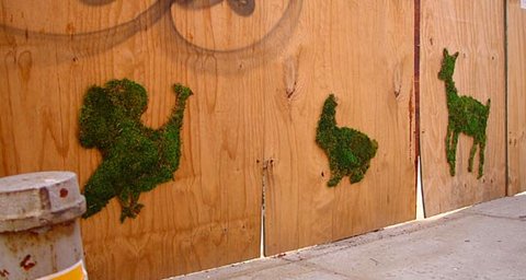 Moss animals by Edina Tokodi