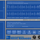 Angular Momentum Wave Manager