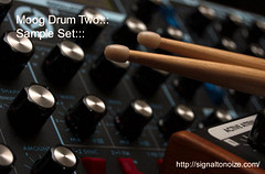 Eric Beam Moog Drum Two