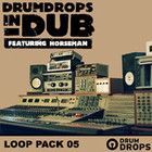 Loopmasters Drumdrops In Dub Vol. 2 Pack 5