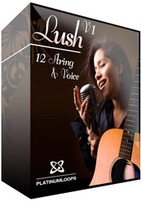 Platinum Loops Lush V1 - 12 String Guitar & Voice