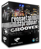 Reggaeton Producer Grooves