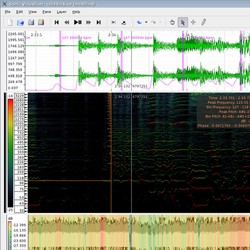 Sonic Visualiser