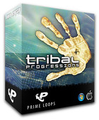 Prime Loops Tribal Progressions